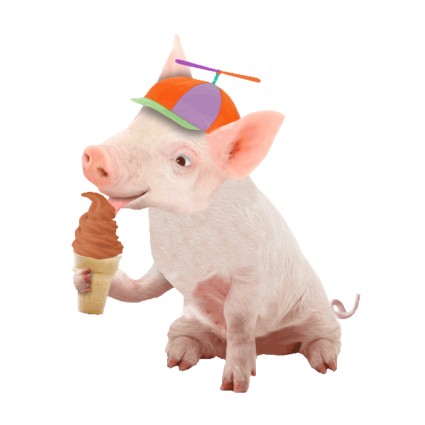 funny pig eats ice cream doodle