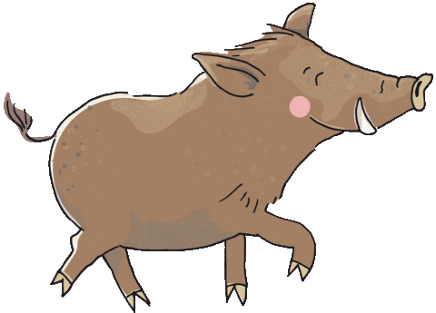 funny wild boar walking doodle
