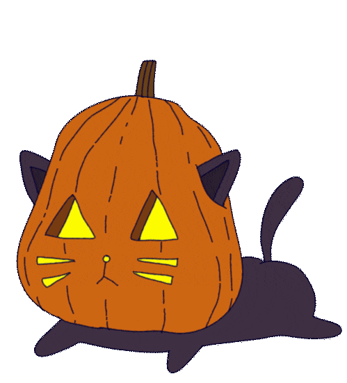 halloween cat o lantern doodle