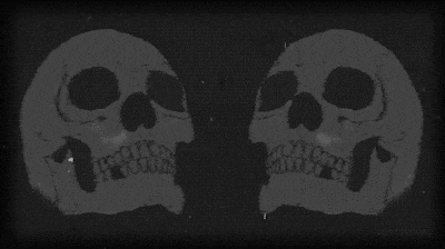 halloween scary skulls doodle