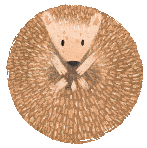 hedgehog curled up doodle