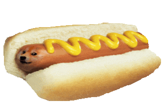 hot doge meme doodle