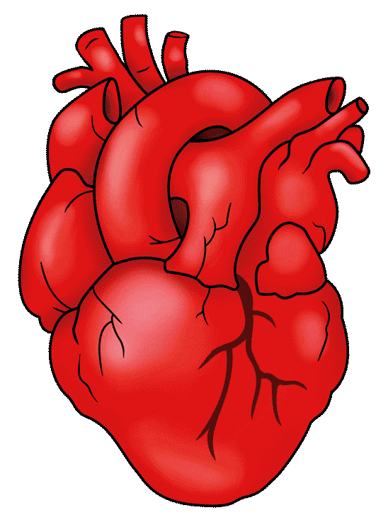 human heart doodle
