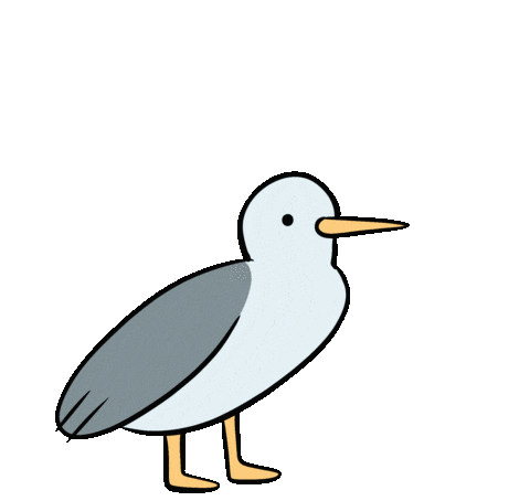 inhale seagull meme doodle