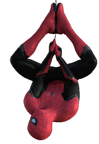 marvel spider man hanging upside down doodle