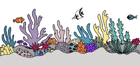 ocean corals fishes doodle