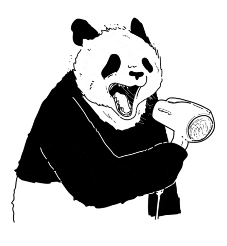 panda with hair dryer doodle