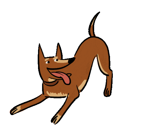 playful brown dog doodle