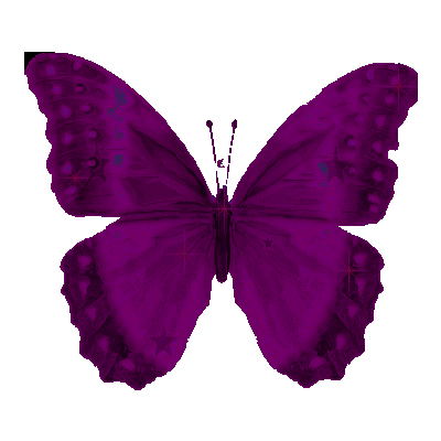 purple butterfly doodle