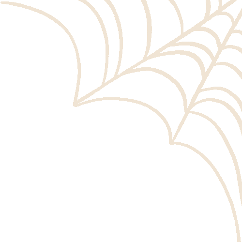 minimalist spider web halloween doodle