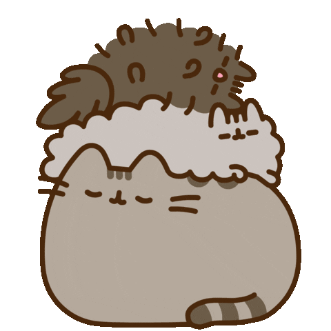pusheen stormy pip sleeping doodle
