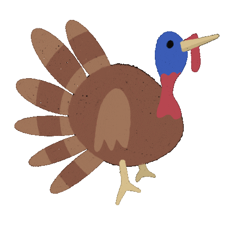 thanksgiving turkey doodle