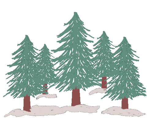 winter snowy forest doodle